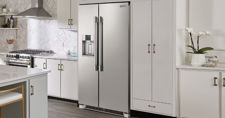 ثلاجة فريجيدير بروفيشنال (Frigidaire Professional) - بابين